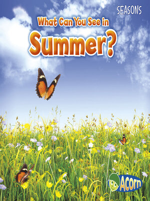 cover image of What Can You See in Summer?